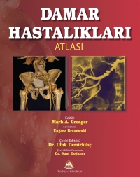 DAMAR HASTALIKLARI ATLASI