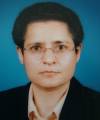 Prof. Dr. Hatice Sebila DÖKMETAŞ, Sivas<br><i></i>