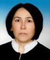 Prof. Dr. Serap ALTUNTAŞ
<br><i>Bandırma Onyedi Eylül Üniversitesi Sağlık Bilimleri Fakültesi, Balıkesir, Türkiye</i>